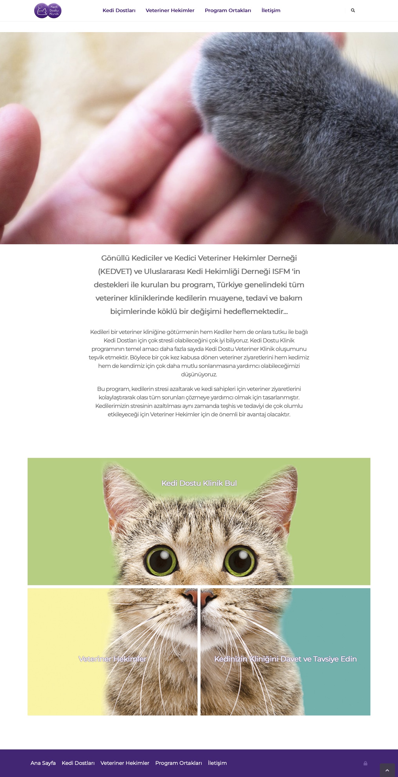 Kedi Dostu Klinik - Web Sitesi Tasarımı ve İçerik Yönetim Sistemi